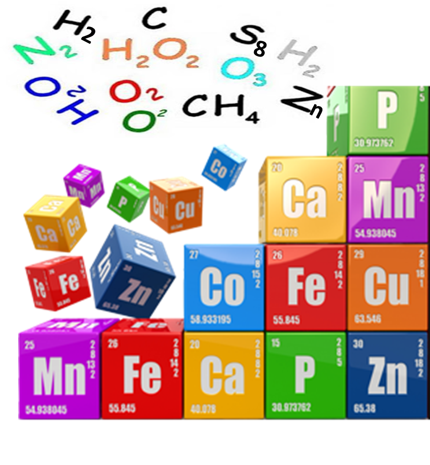 Importancia De Los Elementos Quimicos Para Los Seres Vivos By Camila 